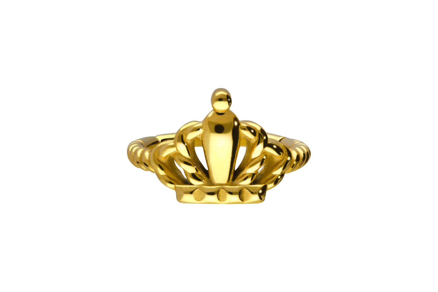 Chirurgenstahl Segmentring Clicker Piercing KRONE + GEDREHT ++SALE++
